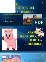 Aparato Reproductor Histologicp de La Hembra y Macho Grupo 2