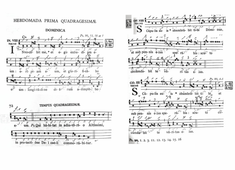 Propio 1 | PDF