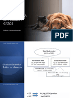Fluidoterapia Perros y Gatos Diapositivas