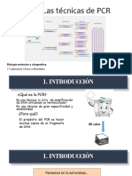 UT6. Las Técnicas de PCR