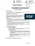 TDR Servicio Operacion Circuitos A-B y Equipo Clarificador Planta Quiulacocha (R) (R) F