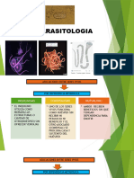 Parasit Tipos de Asociacion