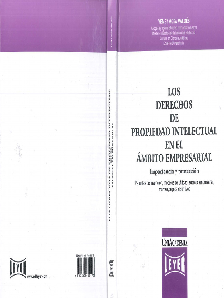 Los Derechos De Propiedad Intelectual En El Ambito Empresarial PDF