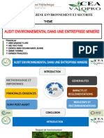 Audit Environnemental Dans Une Entreprise Miniere: Expose D'Hgiene Environnement Et Securite Theme