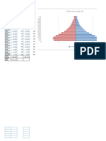 Atividade Prática Geo P..XLSX - Pirâmide Etária 1991