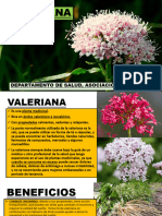 VALERIANA