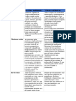 Bacillus Anthracis