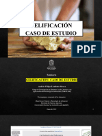 GELIFICACIÓN - Caso de Estudio