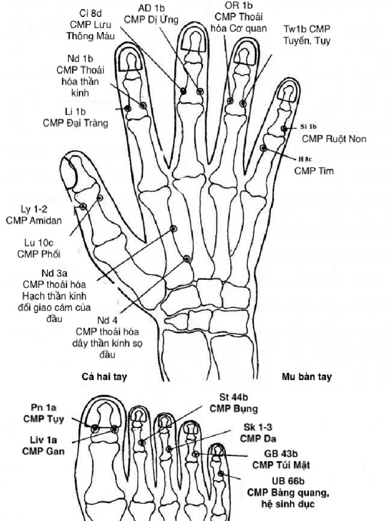 EAV Voll MCP Diagram VN | PDF
