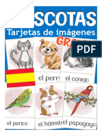 Mascotas - Spanish Espanol Flash Cards (Pets) - Com