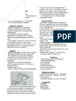 Cirurgia 28.02 Ok