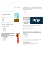 Avaliação Diagnostica 9 Ano Ciencias