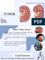 Wils Tumor