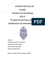 ADA 6 - Equipo 4 PDF