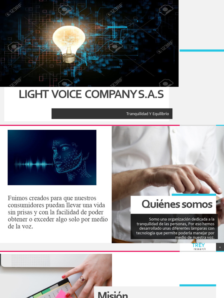 Light Voice Company S | PDF | Economias | Business