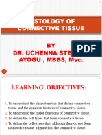 Histology of Connective Tissue
