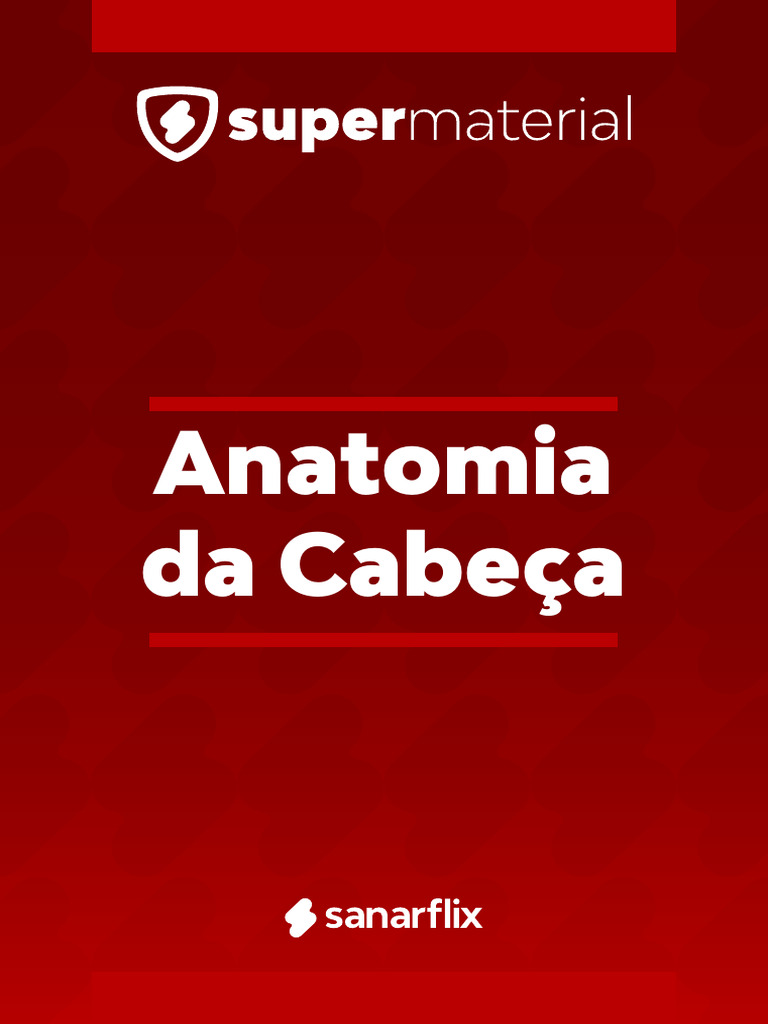 Anatomia Cranio Resumo Pdf Veia Crânio