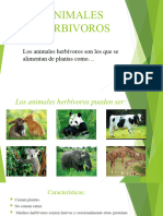 Animales Herbivoros