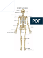 Ujian Osce Anatomi Fisiologi