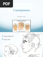 Cranio - Acupuntura:cranio, Rino e Faciopuntura