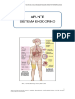 Sistema Endocrino c24 - 240227 - 195314