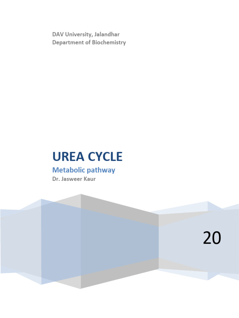 BCH103 8 | PDF | Citric Acid Cycle | Chemistry
