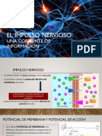 Sist Nervioso Impulso - 2023 - Parte 4