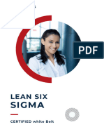 Lean Six Sigma White Belt