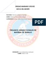 Organos Jurisdiccionales en Materia de Trabajo - 15-02-2024