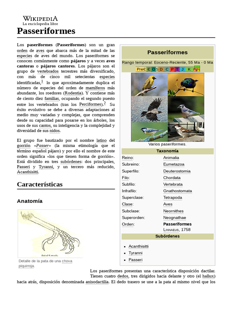 Passeriformes | PDF | Neognathae | Taxa
