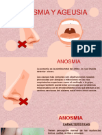 Caracteristicas de La Anosmia y La Ageusia