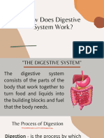 Digestive System