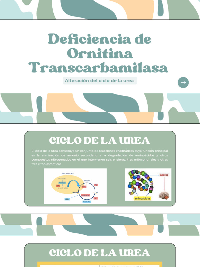 Deficiencia de Ornitina Transcarbamilasa PDF Bioquímica Química