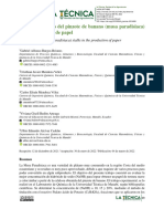 Aprovechamiento Del Pinzote de Banano (Musa Paradisiaca) en La Elaboración de Papel