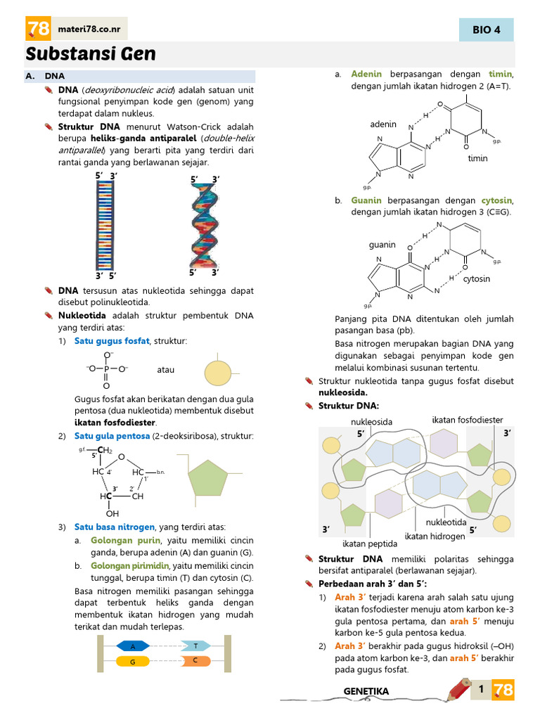 Replikasi DNA dan Sintesis Protein | PDF
