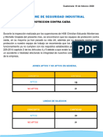 Informe de Arnes