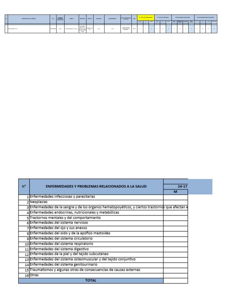 1-Modelo Informe Tecnico Vigilancia Salud Trabajadores Inka | PDF ...