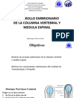 Seminario Embriologia de La Columna y Medulo Espinal Alexis Sanchez 2024