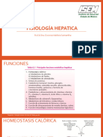 Fisiologia Hepatica