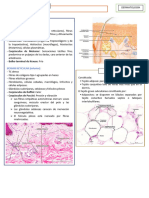 Dermis e Hipodermis y Anexos (Dermatología)