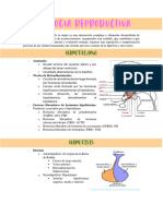 Fisiologia Reproductiva