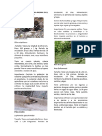 Informe Sobre La Fauna Andina en El Zoológico