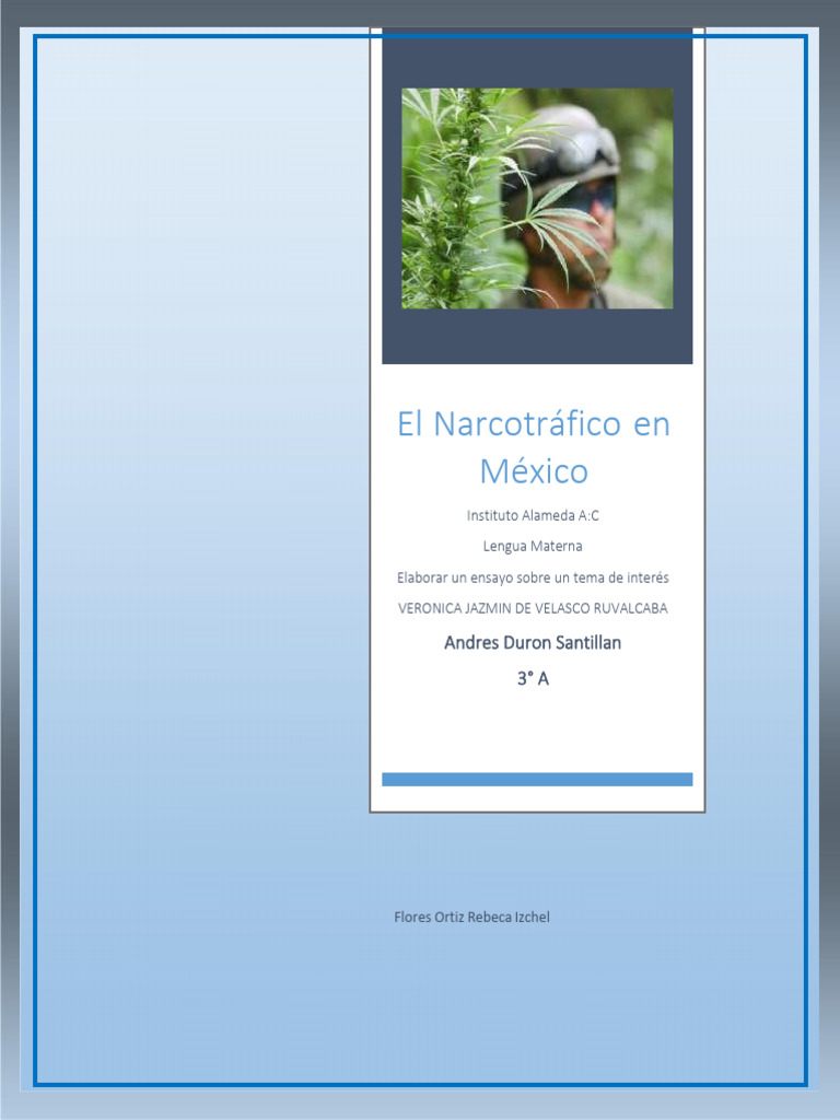 NARCOTRAFICO Ensayo | PDF | Cartel de Sinaloa | Comercio ilegal de drogas