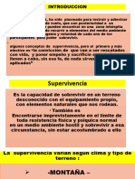 Supervivencia TCP