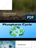 EnviSciQ1Wk8-Phosphorus Cycle-1