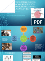 Procesos Psicológicos