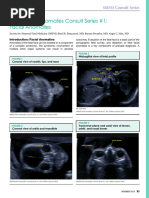 G1P1 1001: Obstetric Terminology Guide | PDF | Childbirth | Ovarian Cancer