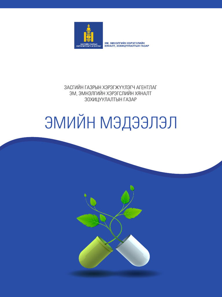 Emiin Medeelel Setguuli | PDF