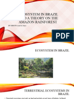 Ecosystem in Brazil
