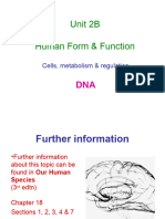 Unit 2B DNA